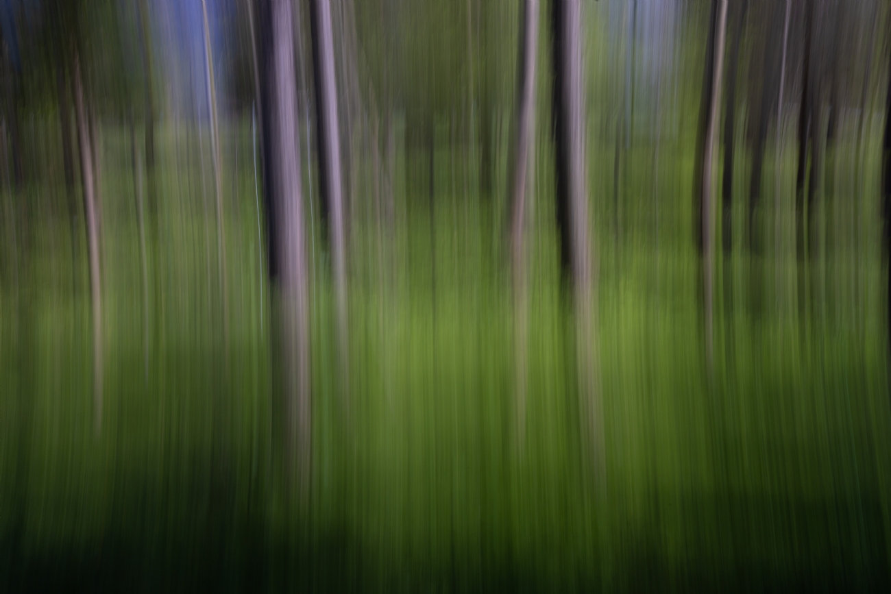 חזי גולדנברג