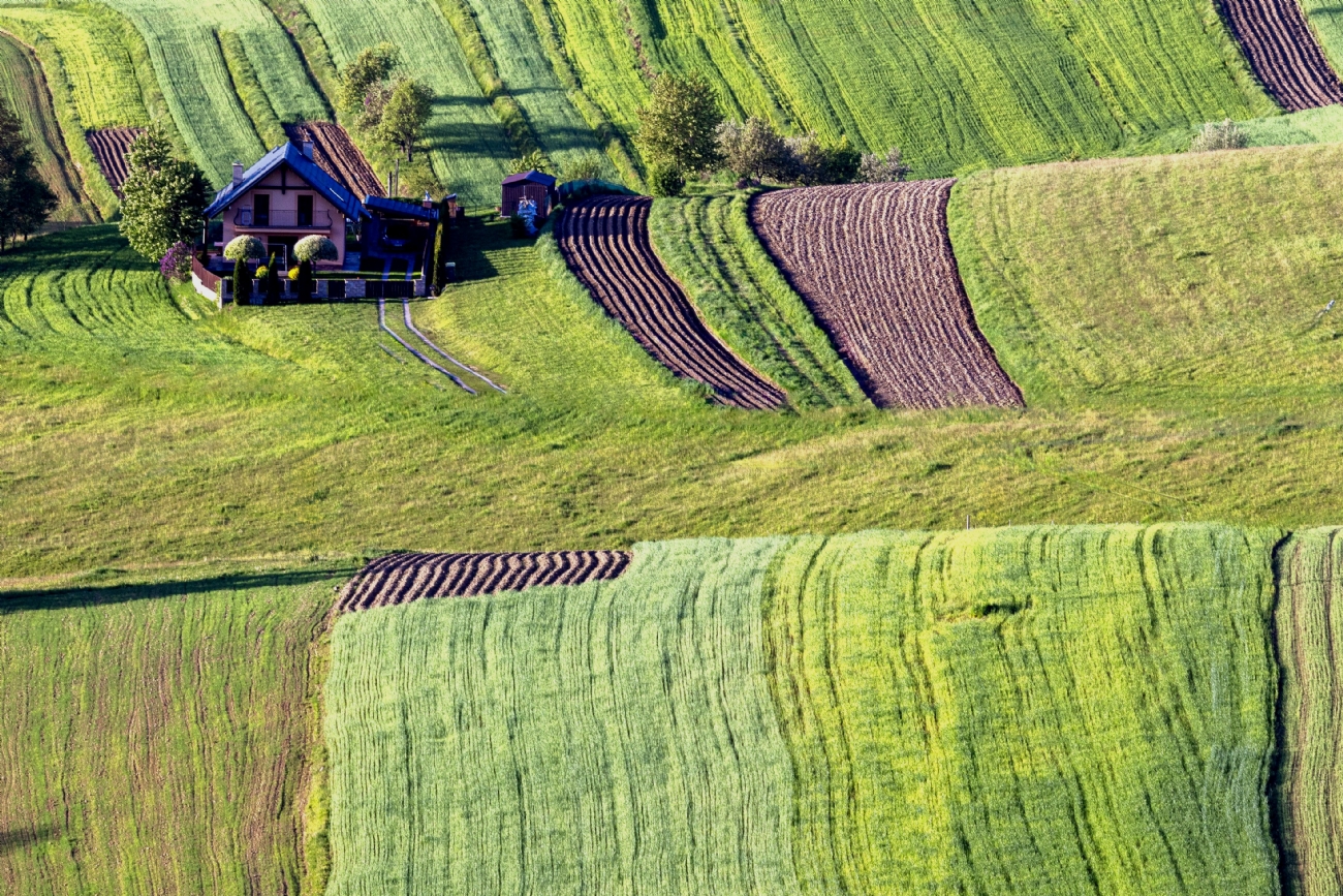 חזי גולדנברג