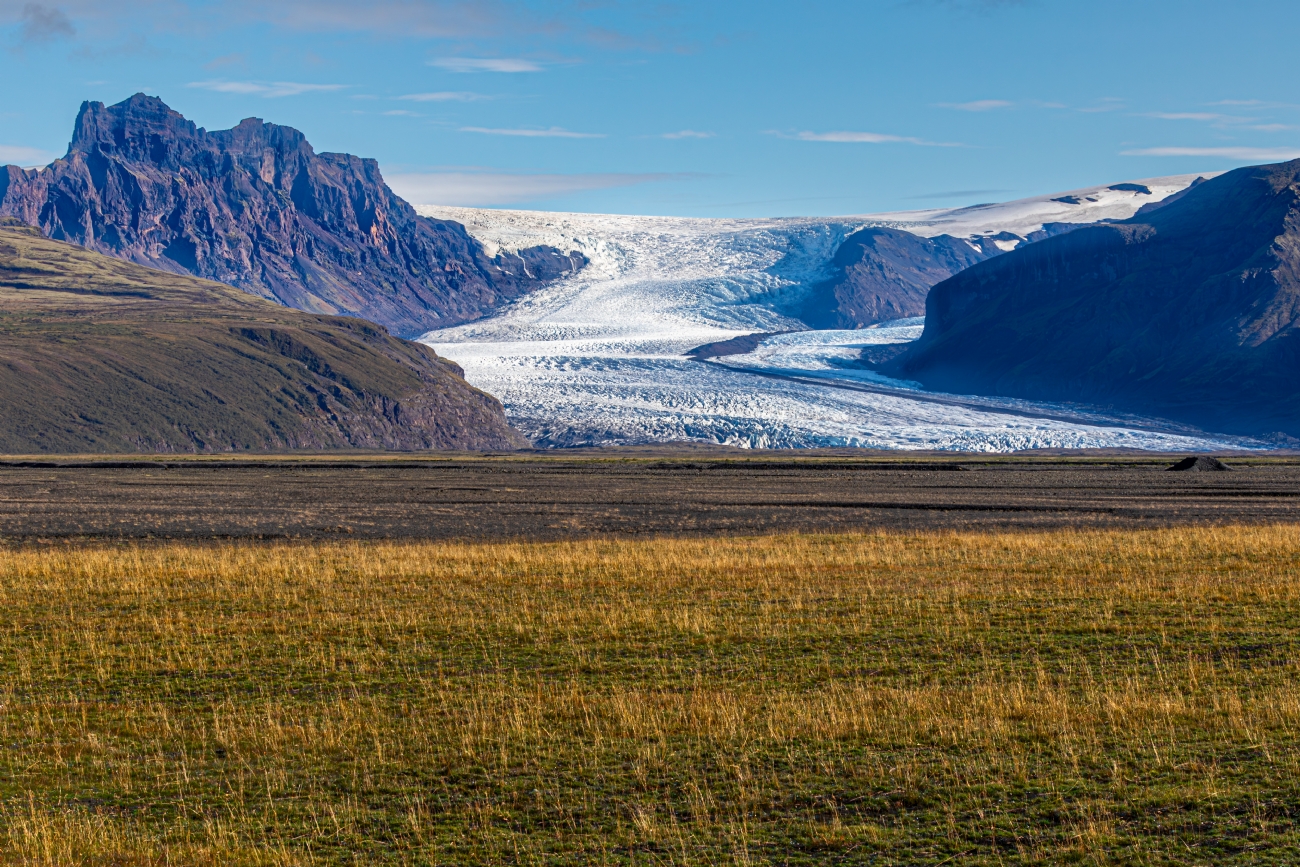 חזי גולדנברג