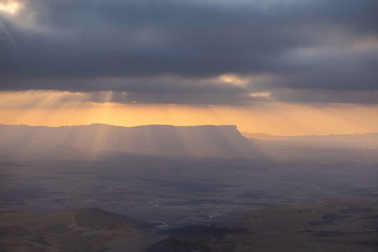 מיכל דה פורטו