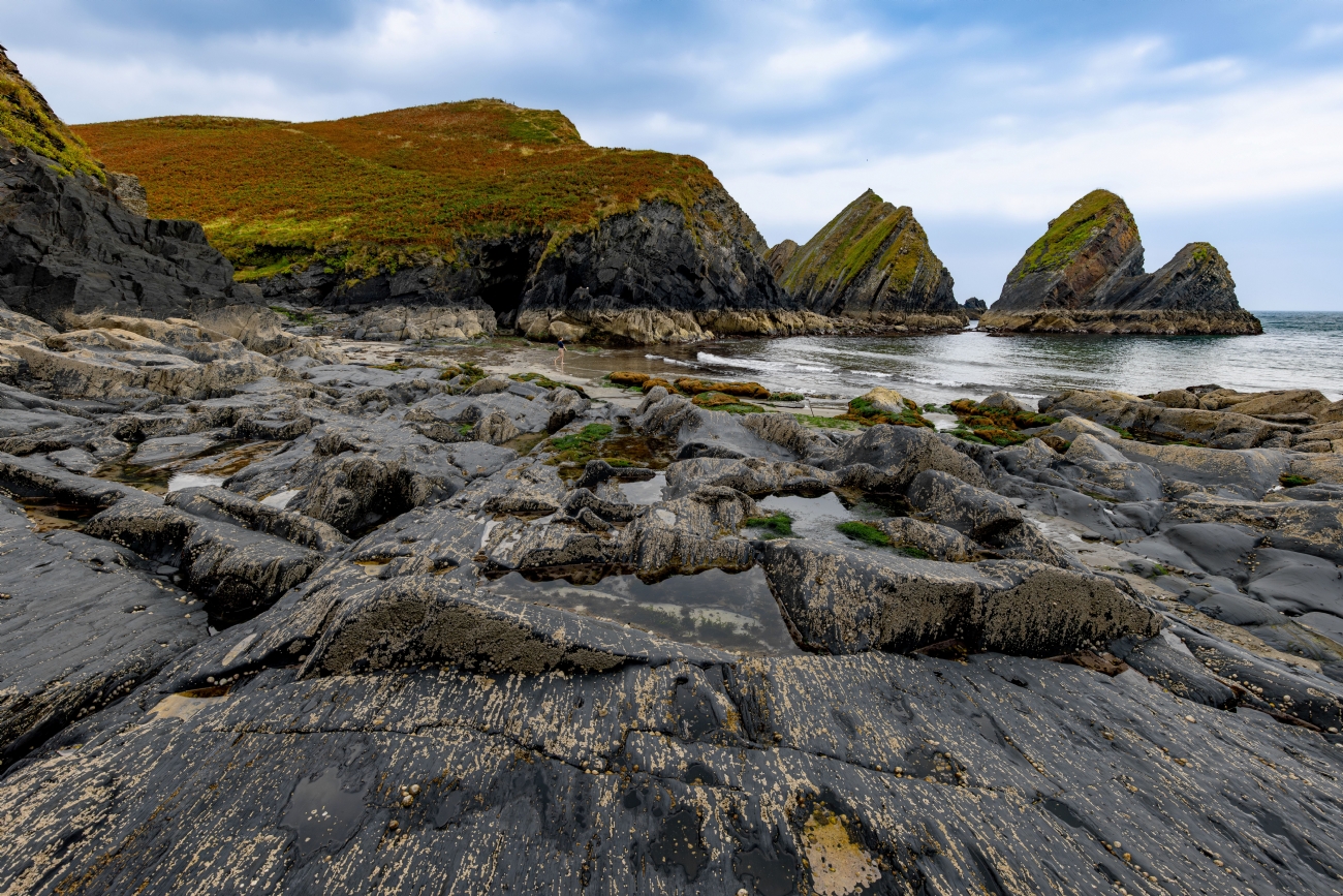 חזי גולדנברג