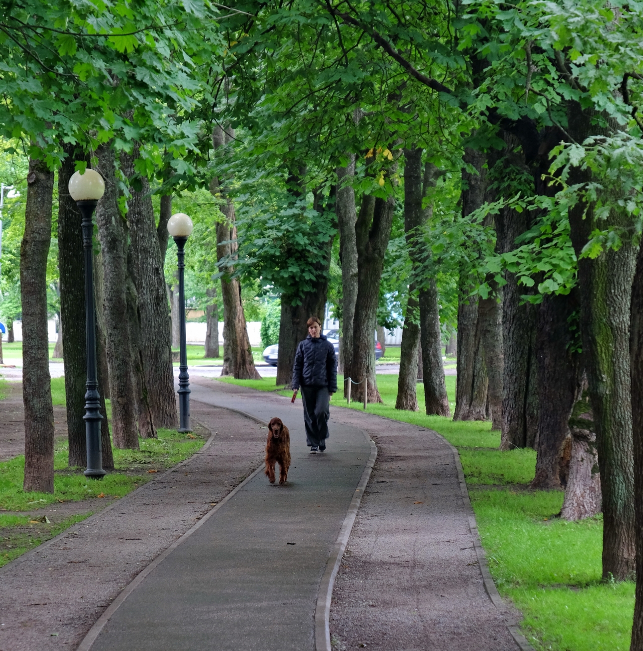 טיול בוקר-אסטוניה