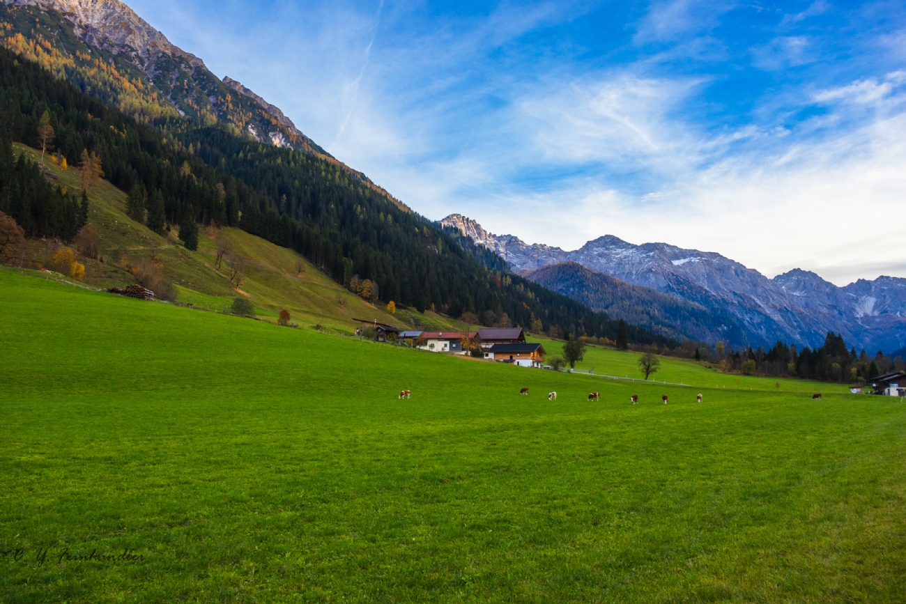 חיים פיינהנדלר
