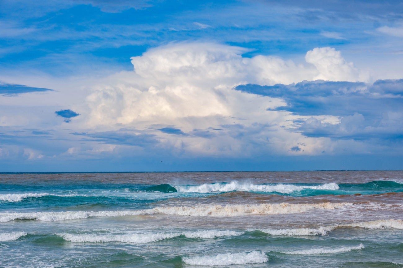 הצבעים לפני הסופה
