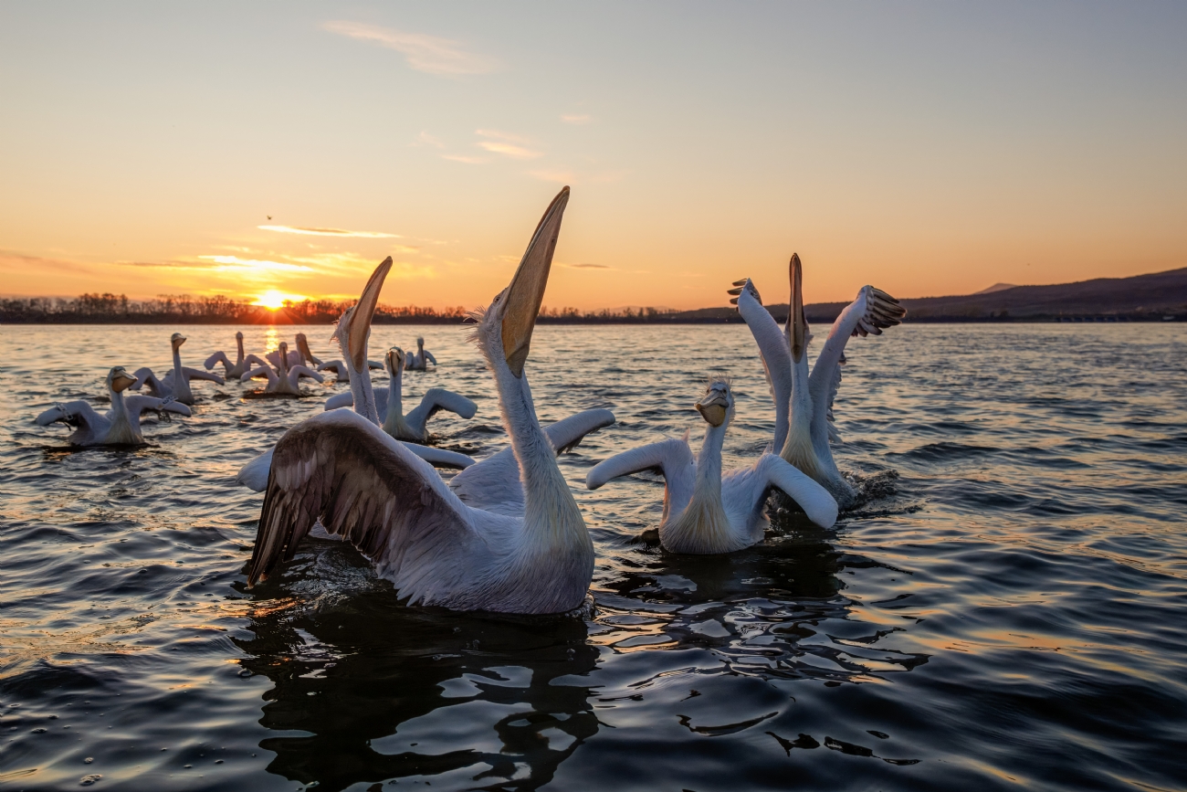 זריחה באגם קירקיני
