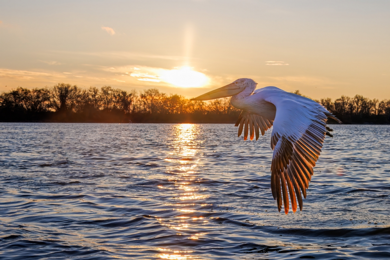 שקיעה בקירקיני 
