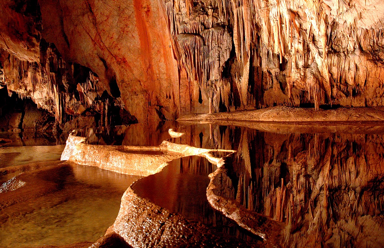 רונן רוזנבלט