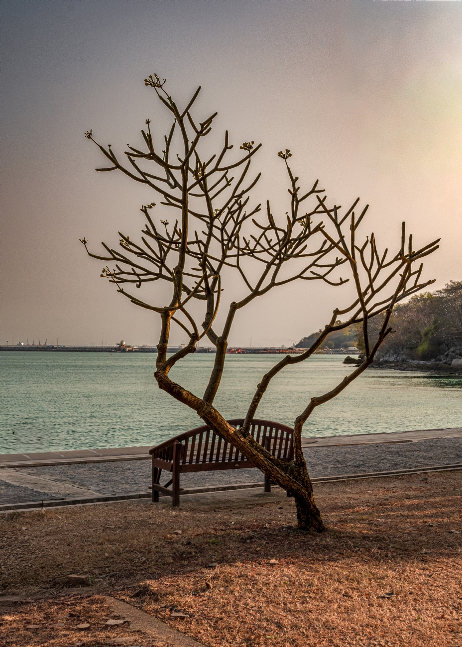 תן לים לשחרר אותך