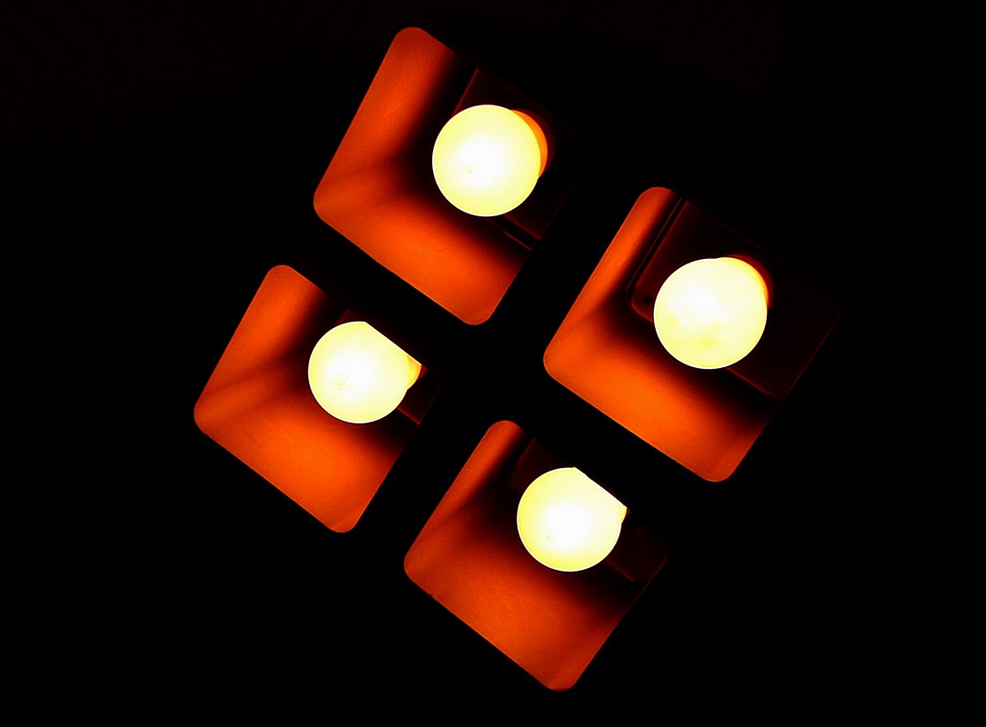 אורלי דורון