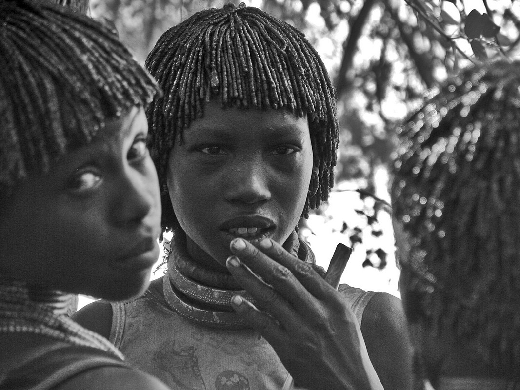 אייל ורטהימר