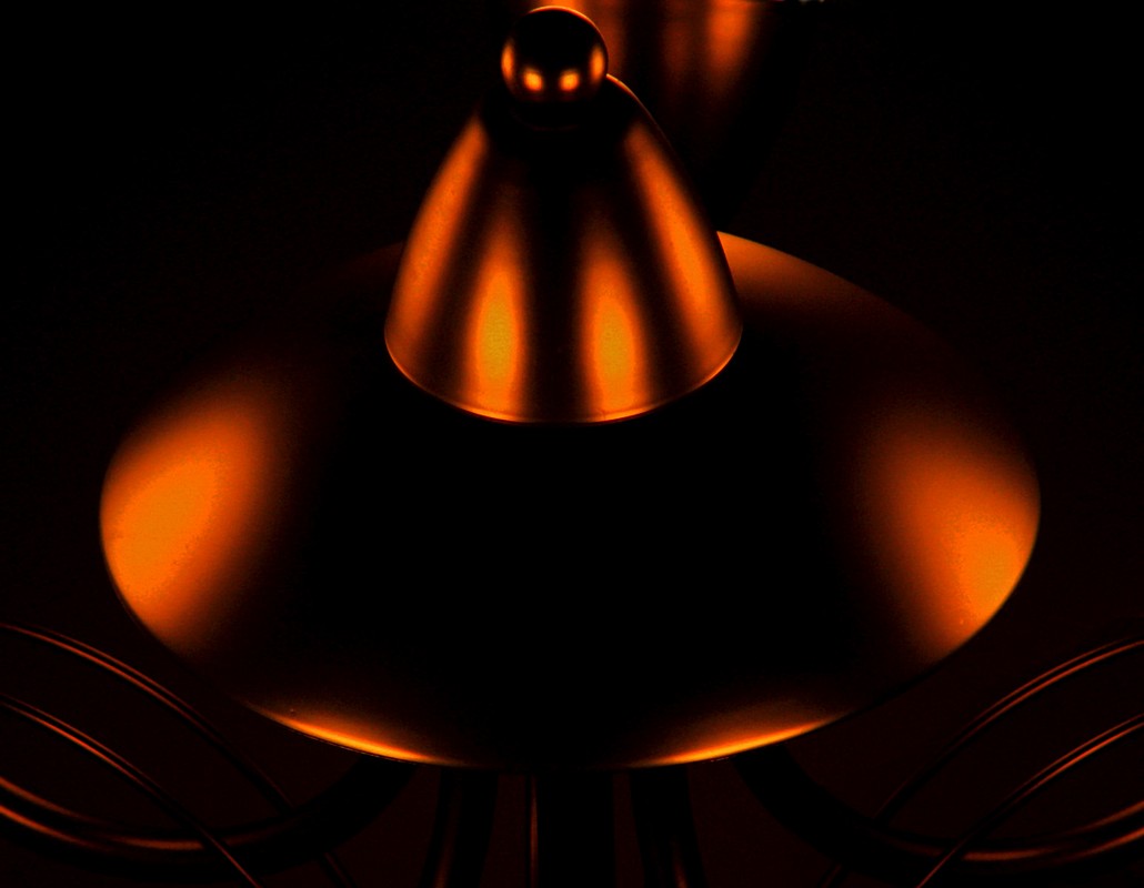 אורלי דורון