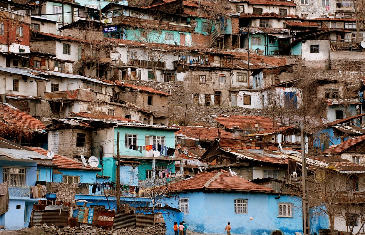 פיני  אביבי