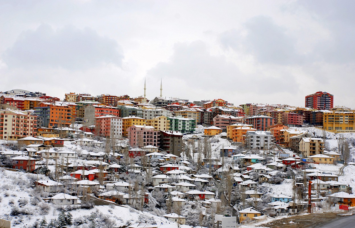 פיני  אביבי