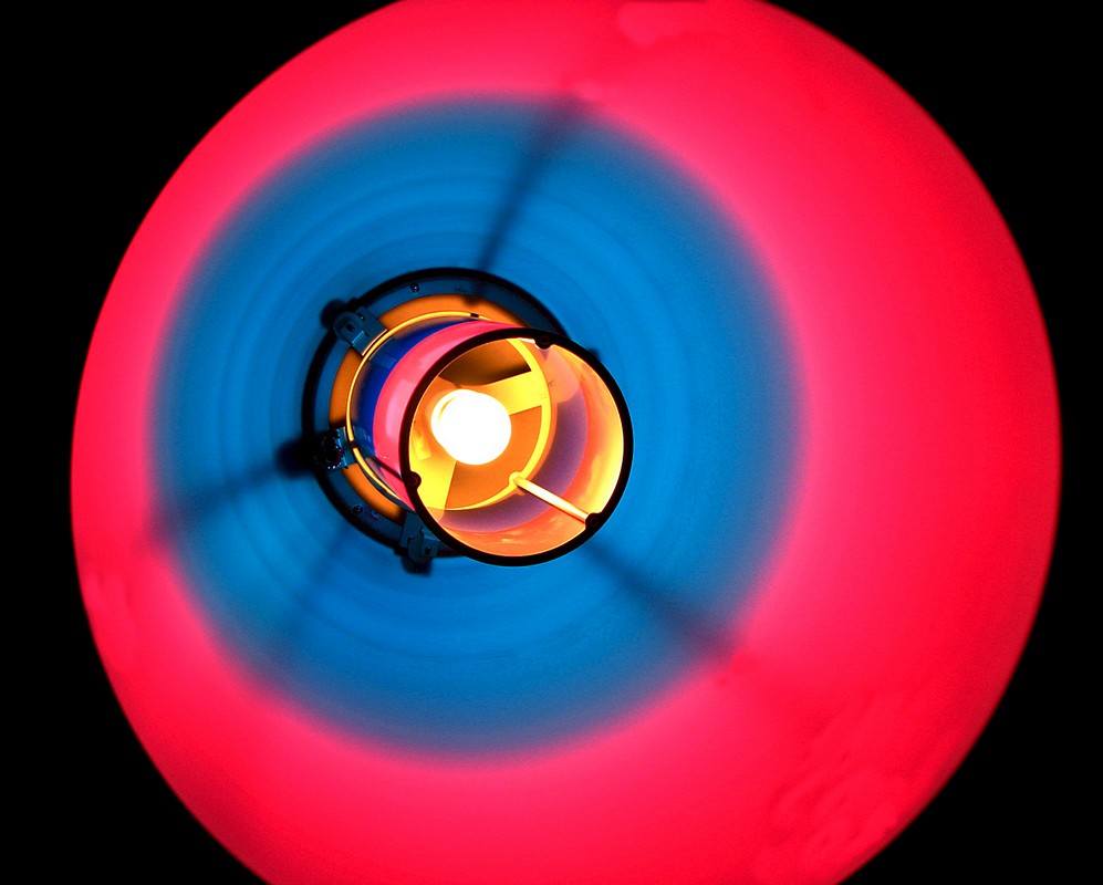 אורלי דורון