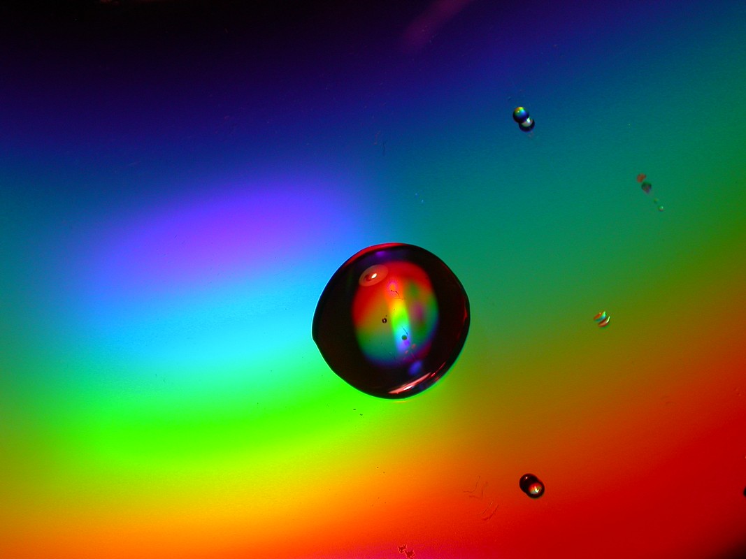 נועה בן שבת