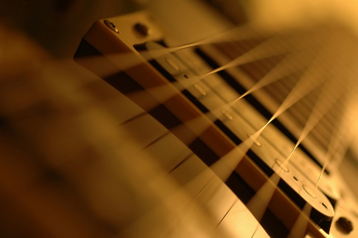 צילום: דורון חזן