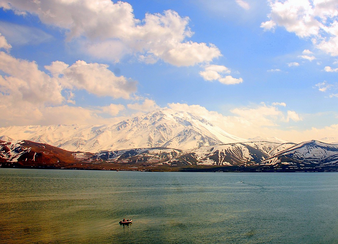 פיני  אביבי