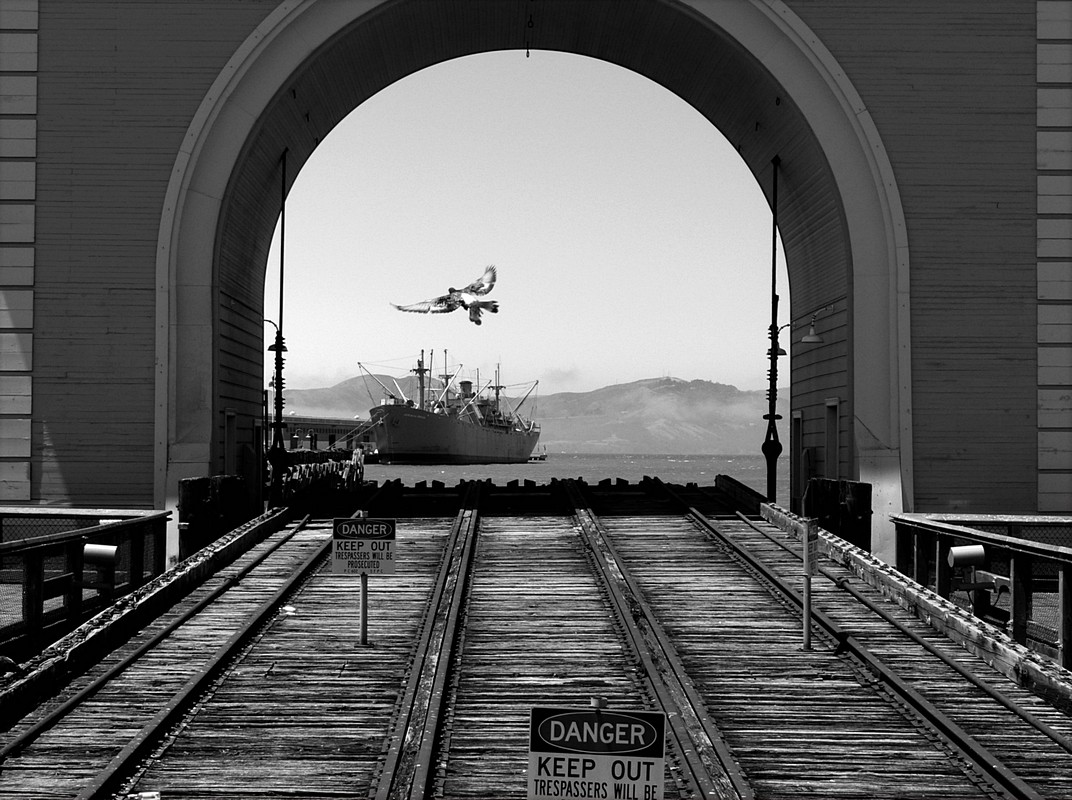 שרון בן פורת