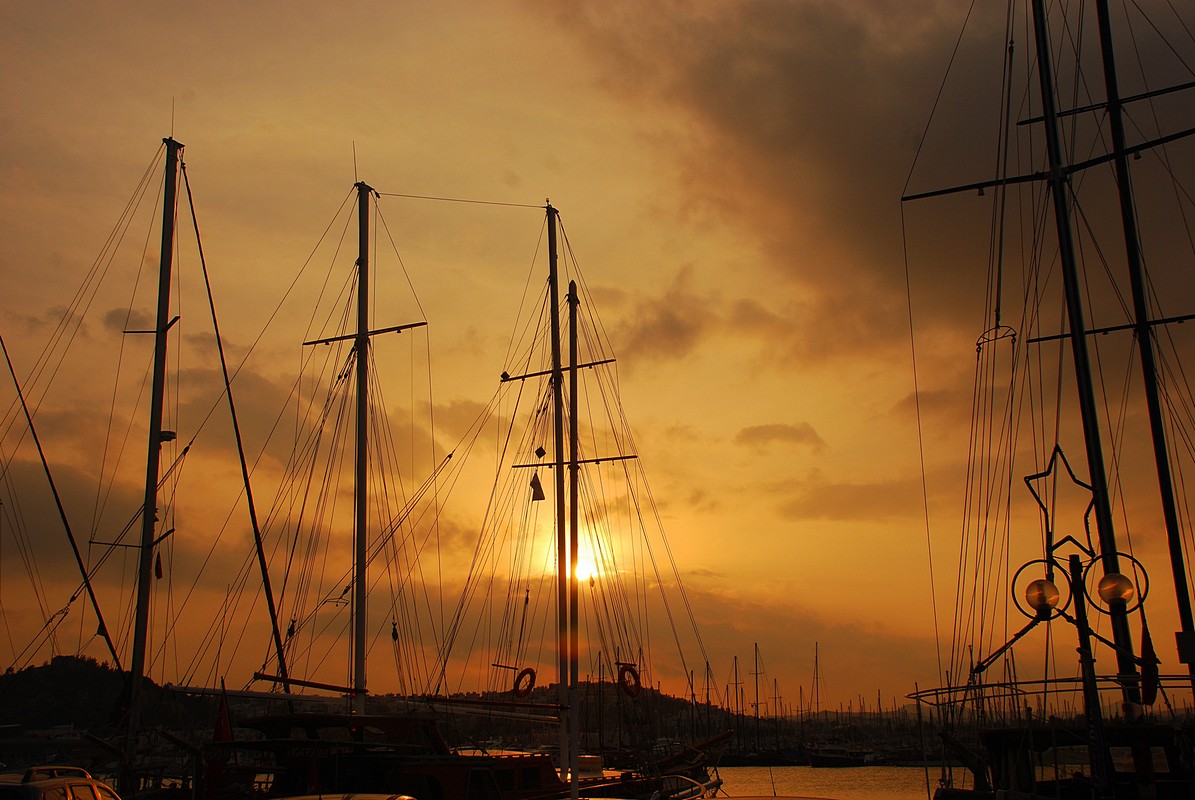 פיני  אביבי