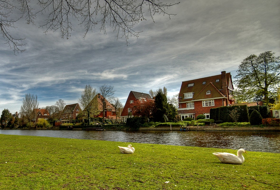 ויקטור קינה