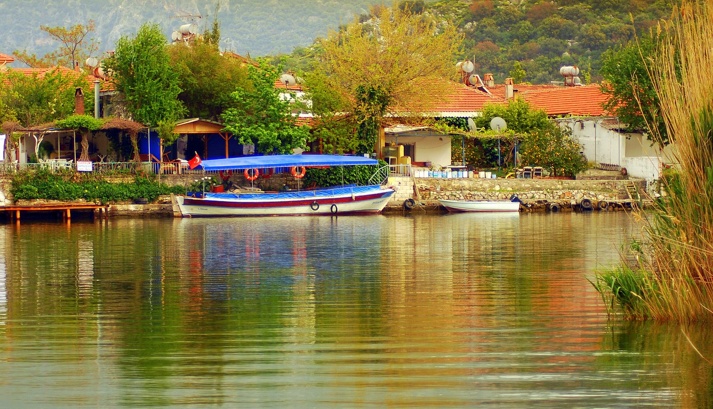 פיני  אביבי