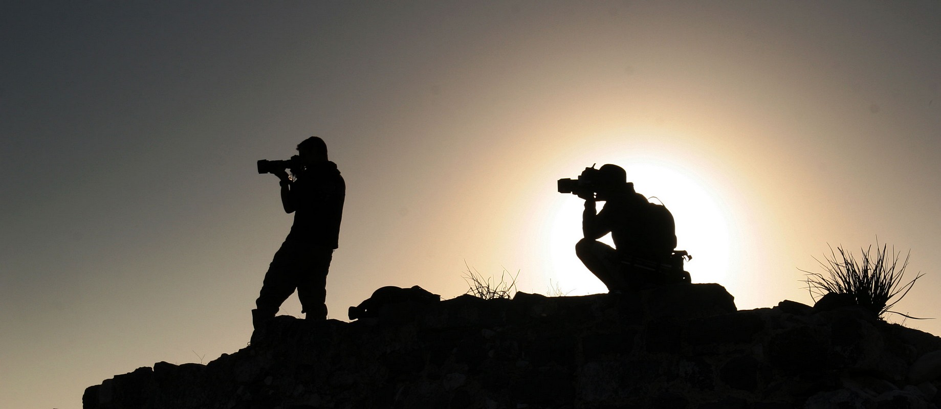 צילום: עידן פלד