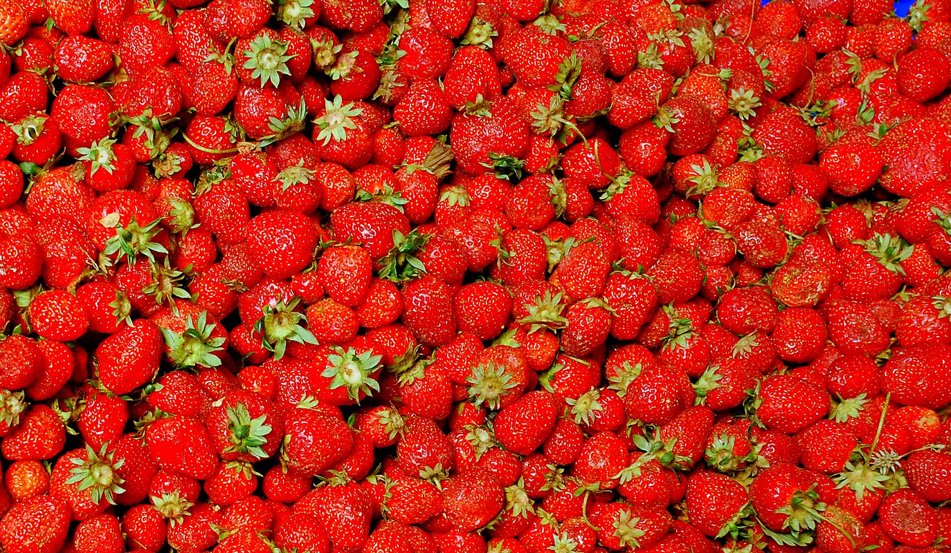 פיני  אביבי