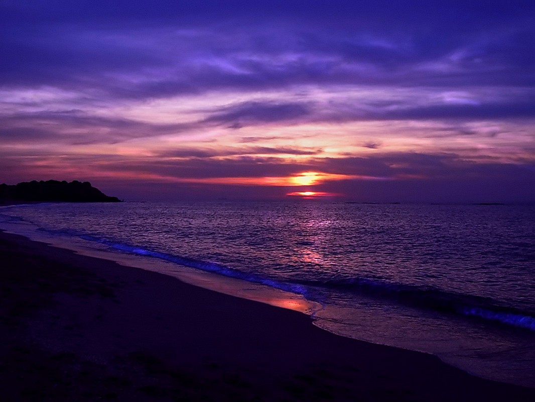 אורלי דורון