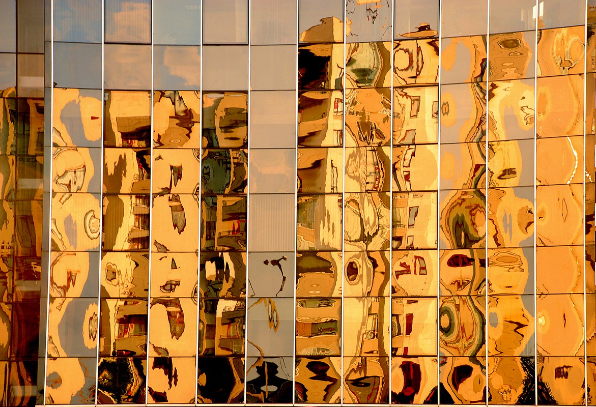 פיני  אביבי