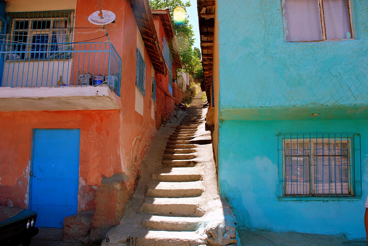 פיני  אביבי