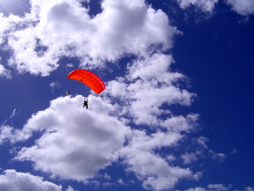 רופינה ספקטורמן