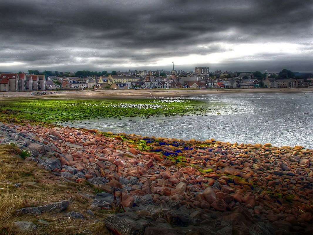 צביקה בלאכר