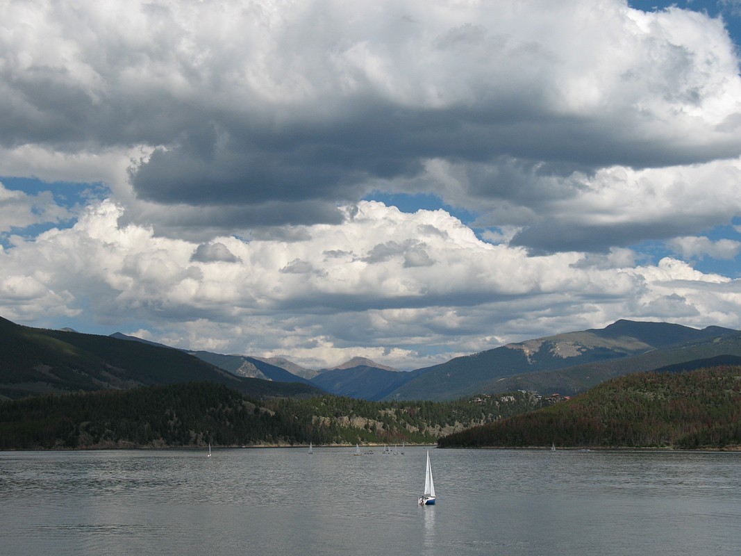 עילי  וינסטון