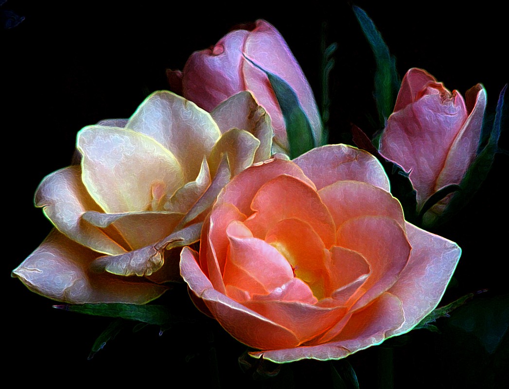 אורלי דורון