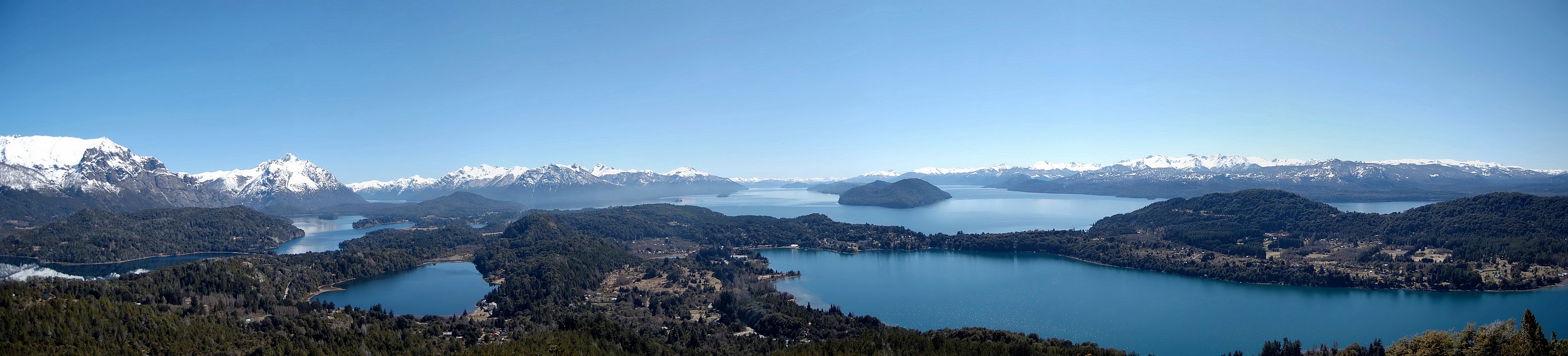 אדם פייגנבאום