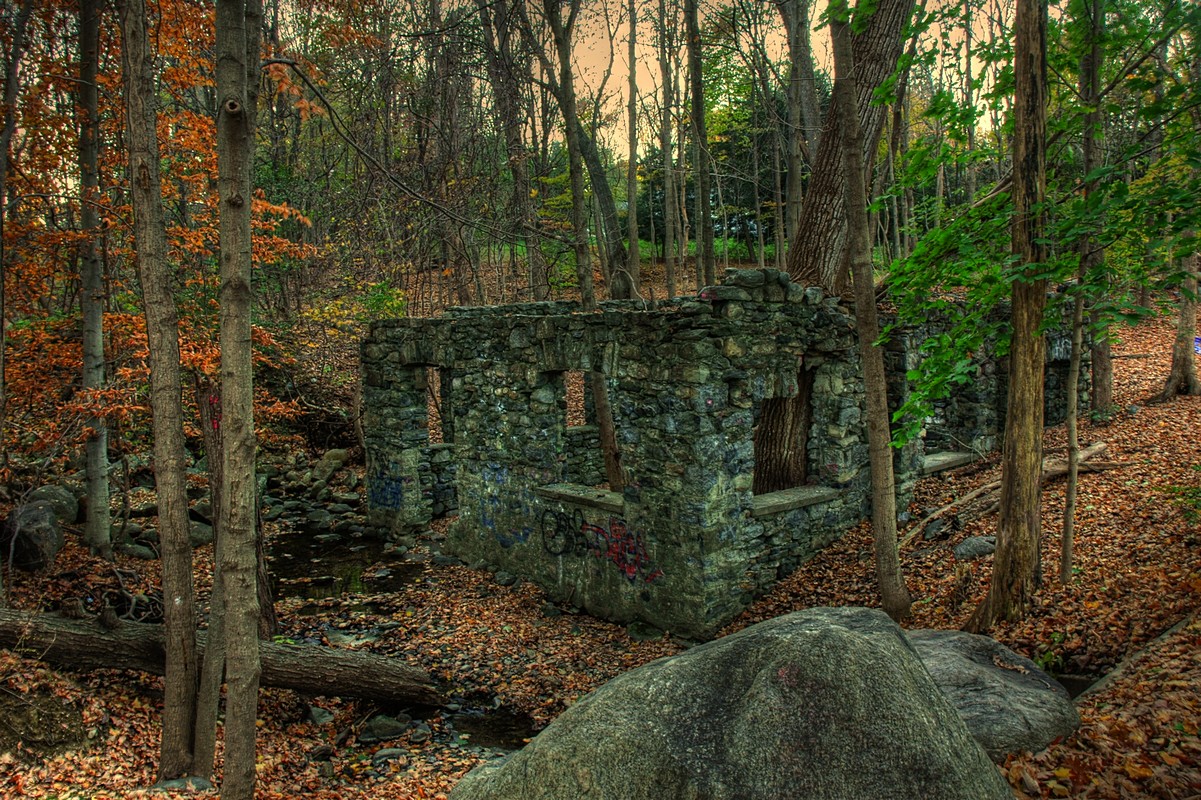 שמיים כחולים