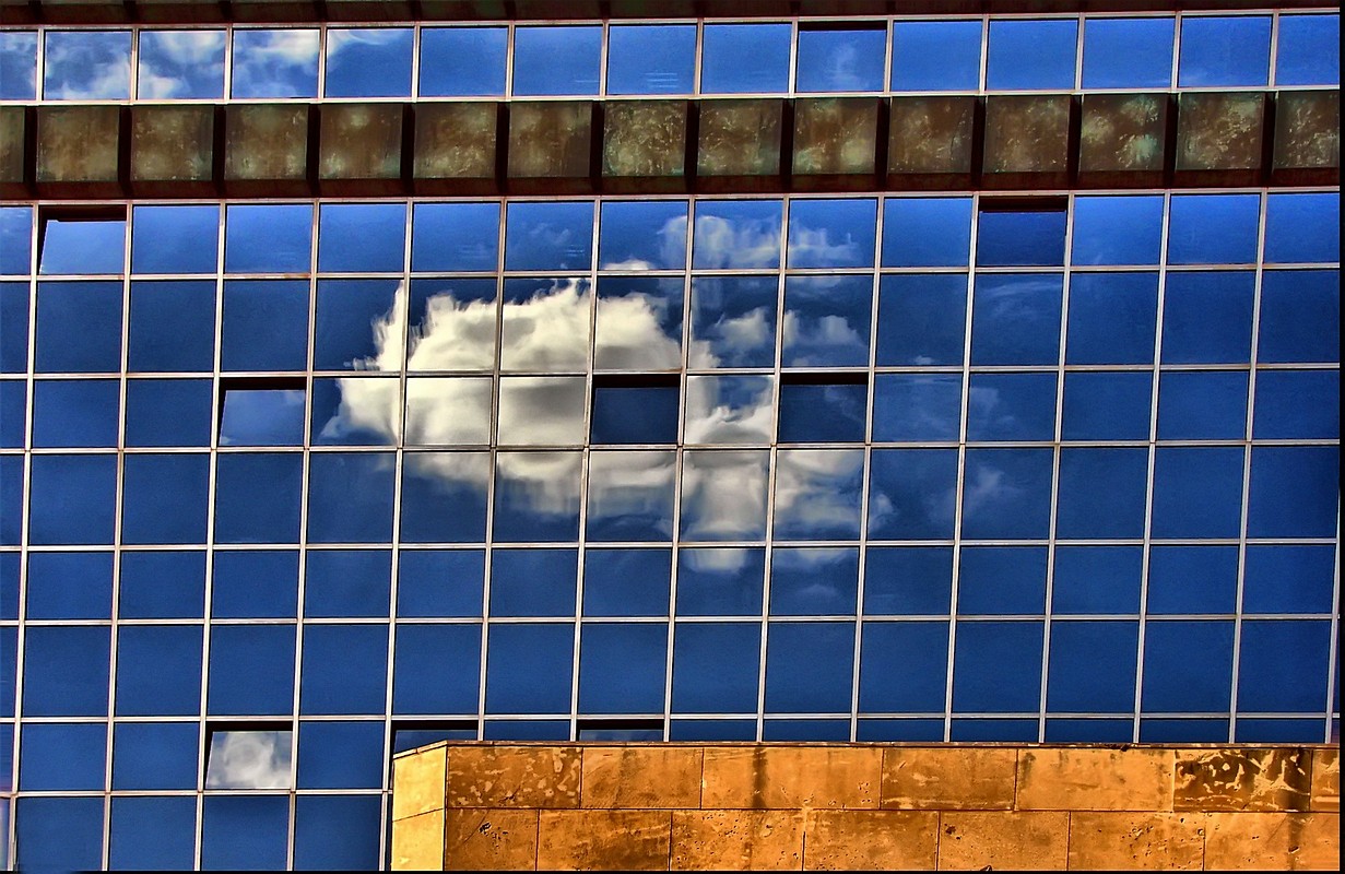 אורלי דורון