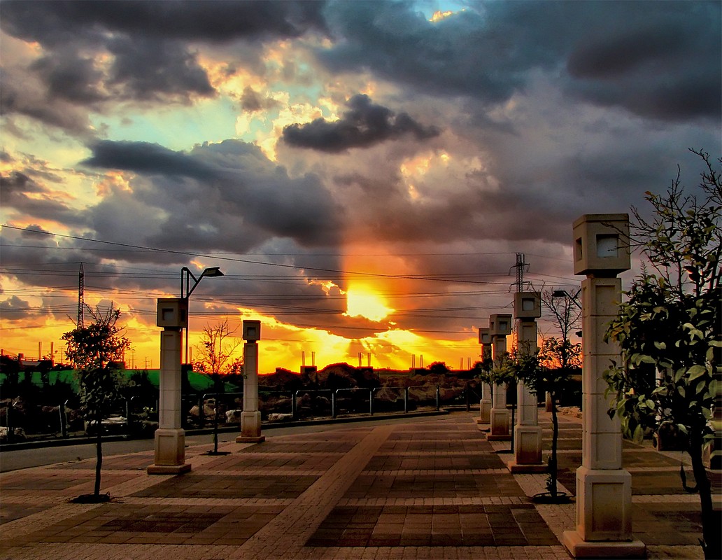 אורלי דורון