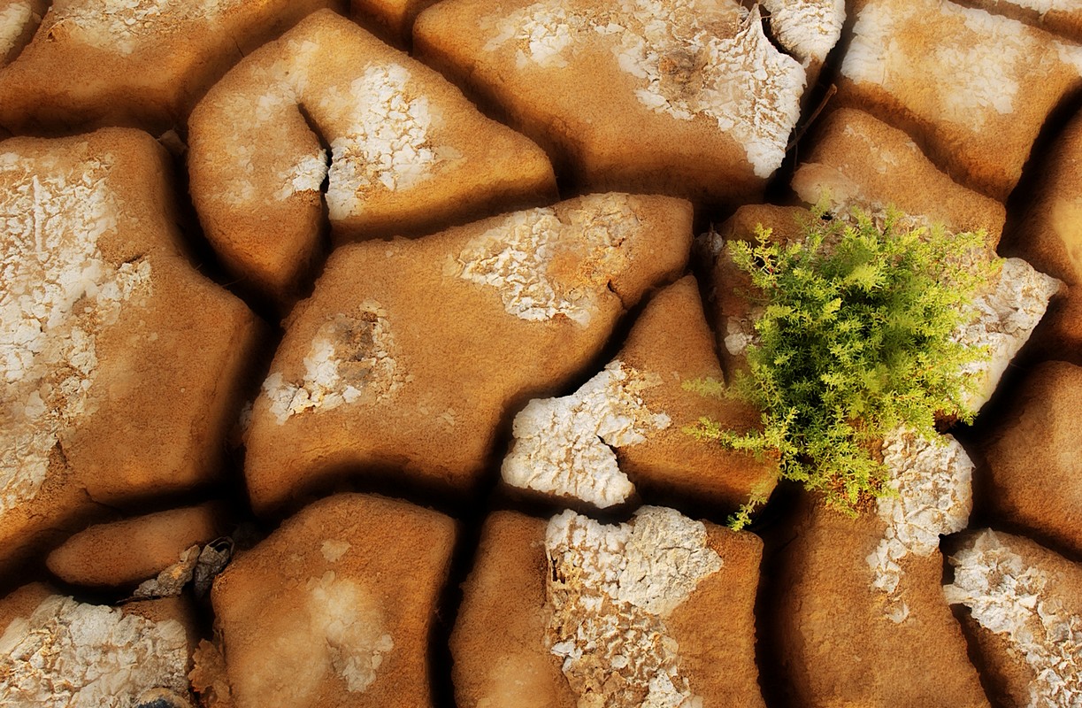 ויקטור ורצנר