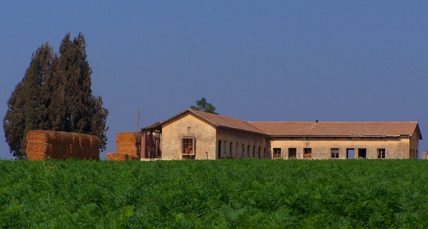 דקלה מצוינים