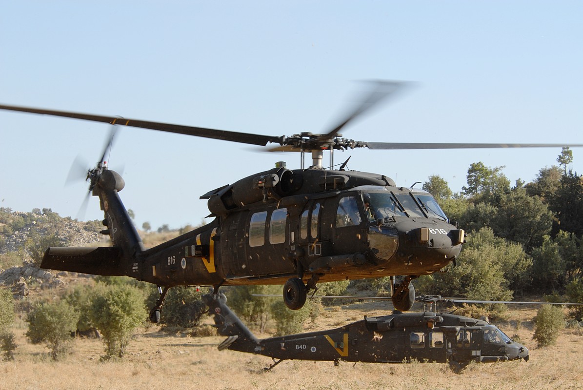 אלי  מיטרני