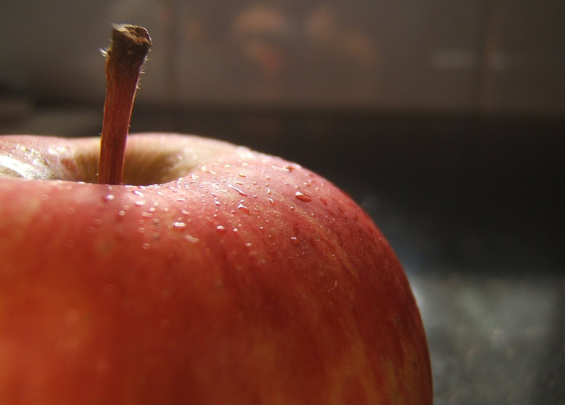 ליטל בלייזר