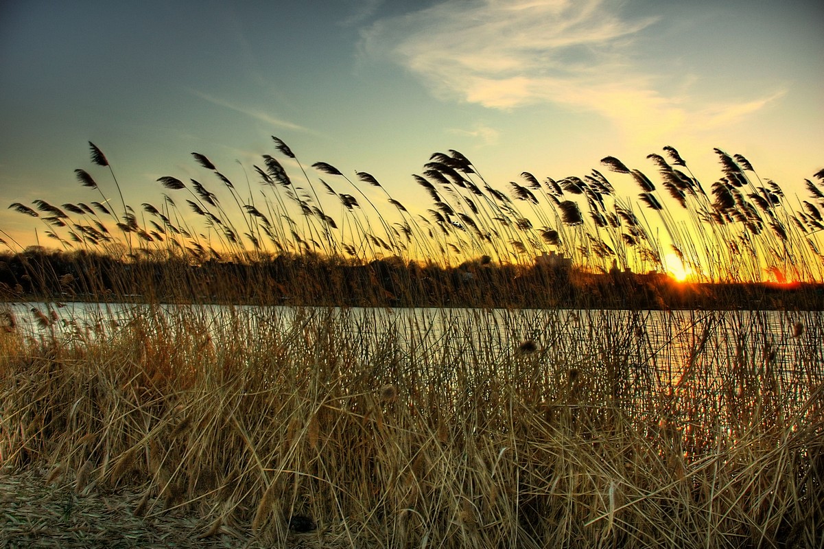 שמיים כחולים