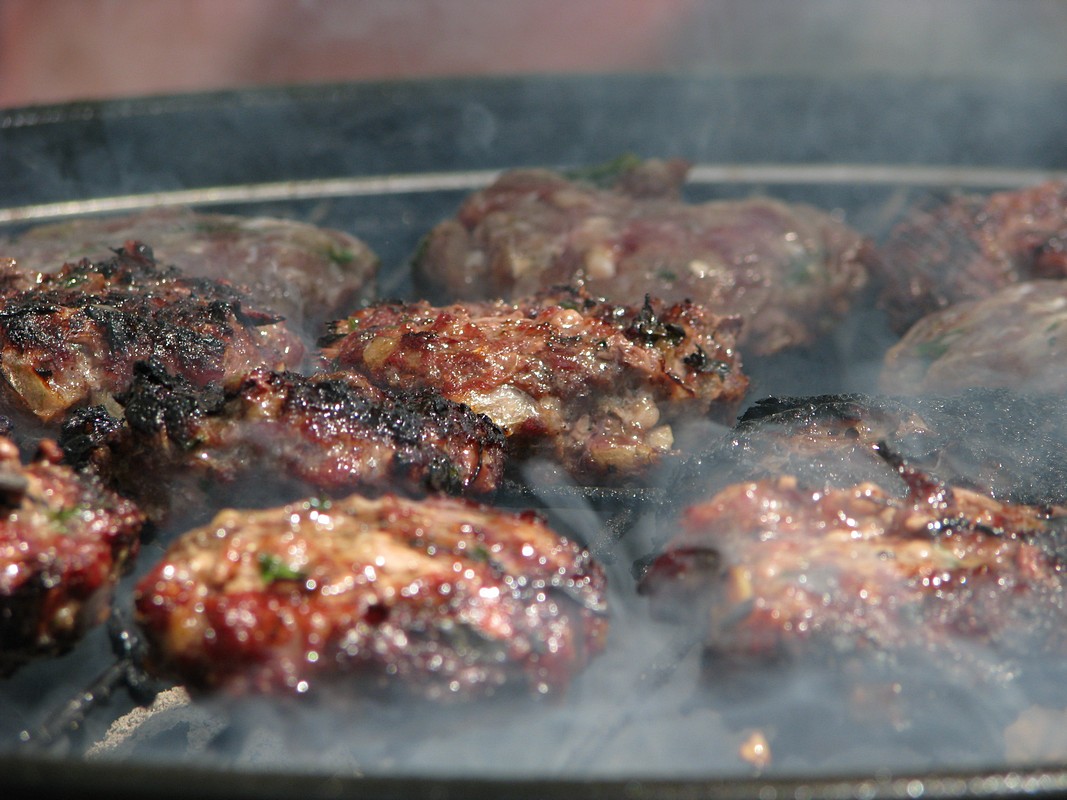 אריאל גרין פוקס