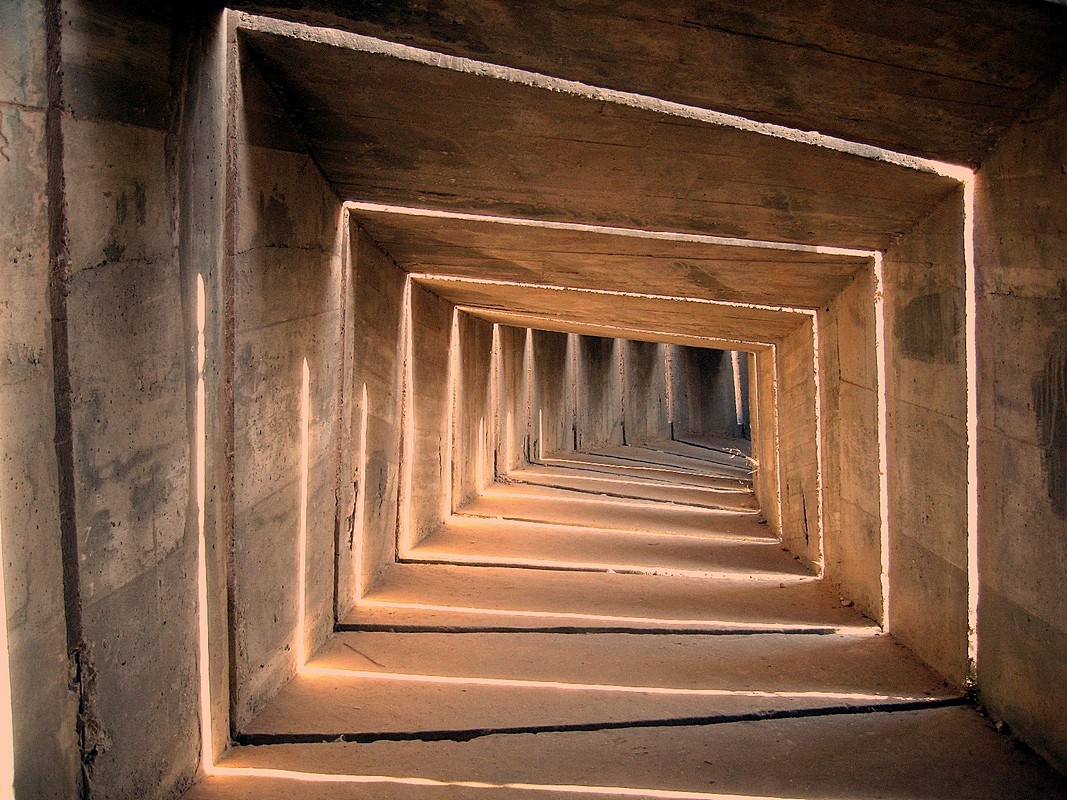 דניאל זריהן