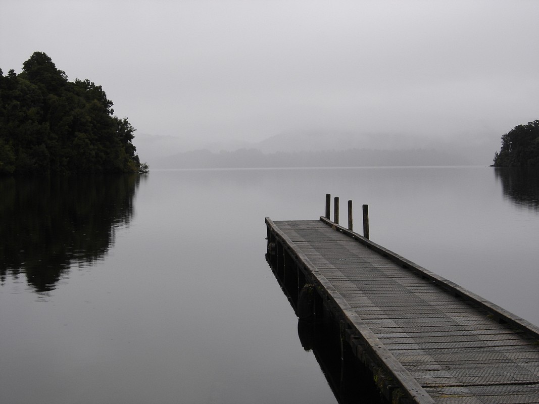 אורן ברקוביץ