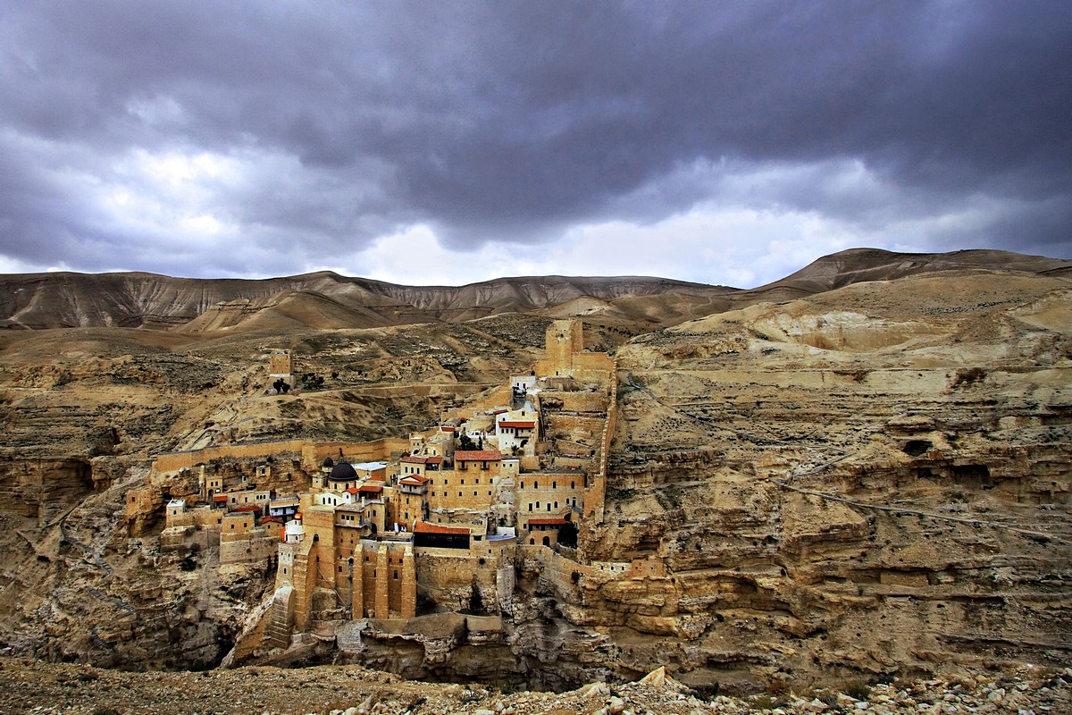 מוני ליטמנוביץ