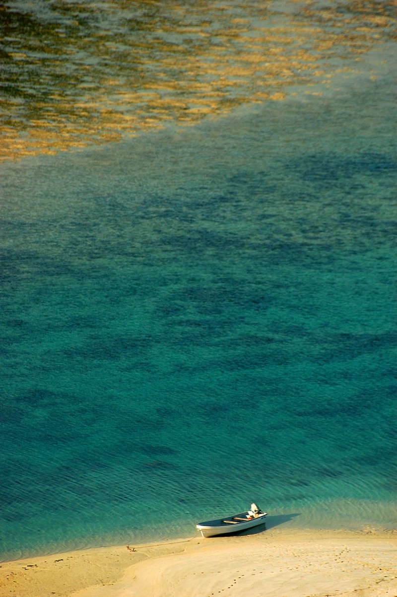 שמוליק סלוצקי