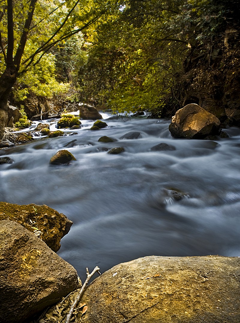 יאיר הר עוז