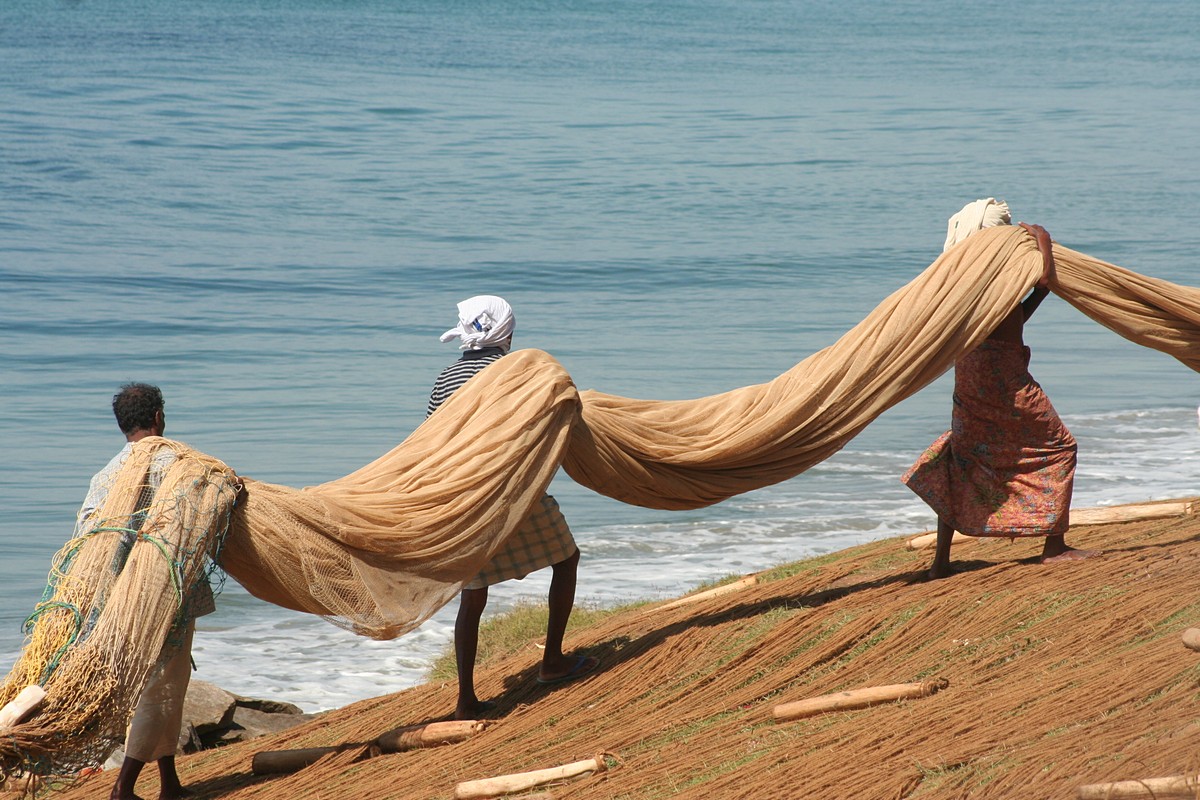 אורנה פינגל